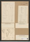Licmophora grandis var. divisa (Kuetz.) Grun. (de-Toni-Nr.: Genus 86, Species 2966) Zeichnungen Sammlung Grunow Nr. 6020 (NHMW-BOT-W0374525)